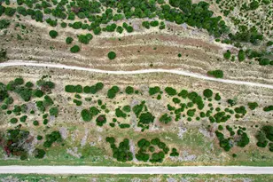 000000 River Shoals Dr, Kempner, TX 76539 - Photo 22