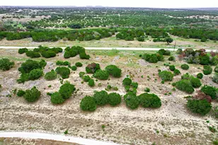 000000 River Shoals Dr, Kempner, TX 76539 - Photo 8