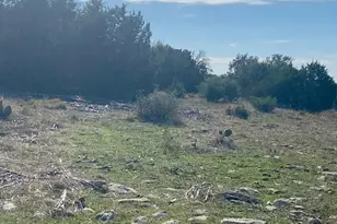 000000 River Shoals Dr, Kempner, TX 76539 - Photo 18