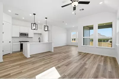 220 Wingstem Way, Georgetown, TX 78633 - Photo 4