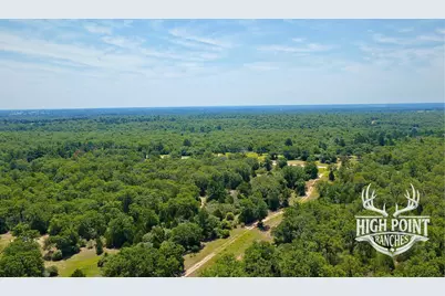 Tbd Ranch Road Off Cr 405 (+/- 60 Acres), Lexington, TX 78947 - Photo 12