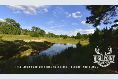 Tbd Ranch Road Off Cr 405 (+/- 60 Acres), Lexington, TX 78947 - Photo 2