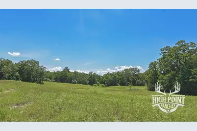 Tbd Ranch Road Off Cr 405 (+/- 60 Acres), Lexington, TX 78947 - Photo 14