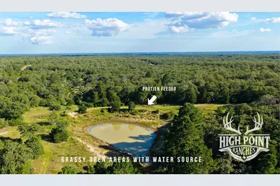 Tbd Ranch Road Off Cr 405 (+/- 60 Acres), Lexington, TX 78947 - Photo 4