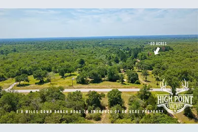 Tbd Ranch Road Off Cr 405 (+/- 60 Acres), Lexington, TX 78947 - Photo 10