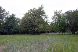 7887 Pettytown Rd, Red Rock, TX 78662 - Photo 2