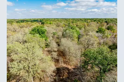 164 Bull Run Road, Cedar Creek, TX 78612 - Photo 36