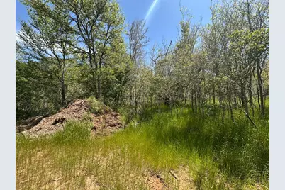 237 Mokulua Lane, Bastrop, TX 78602 - Photo 6