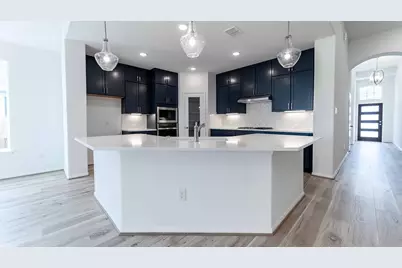 294 Rubber Tree Way, Buda, TX 78610 - Photo 8