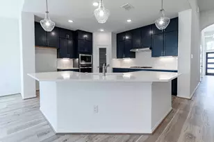 294 Rubber Tree Wy, Buda, TX 78610 - Photo 8