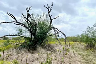 11604 Moore Rd, Austin, TX 78719 - Photo 14