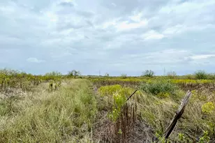 11604 Moore Rd, Austin, TX 78719 - Photo 16