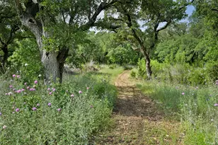 437 Rusk Bluff Ave, Leander, TX 78641 - Photo 36
