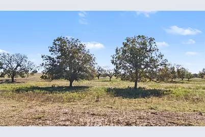 Tract 1 Fm 3158, Dale, TX 78616 - Photo 10