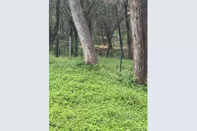 214 The Forest Road, Dale, TX 78616 - Photo 16