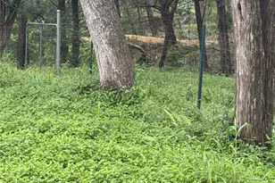 214 The Forest Rd, Dale, TX 78616 - Photo 16
