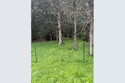 214 The Forest Road, Dale, TX 78616 - Photo 18