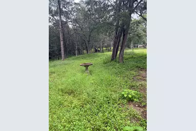 214 The Forest Road, Dale, TX 78616 - Photo 14