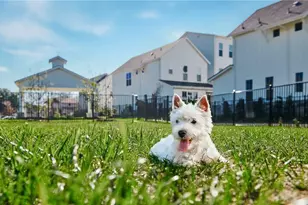 2624 Metcalfe Rd, Austin, TX 78741 - Photo 32