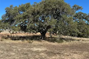 Lot 186 Blackbuck Ridge Dr, Lampasas, TX 76550 - Photo 26