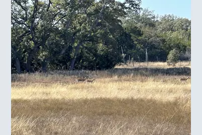 Lot 186 Blackbuck Ridge Drive, Lampasas, TX 76550 - Photo 16