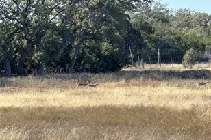 Lot 186 Blackbuck Ridge Dr, Lampasas, TX 76550 - Photo 16