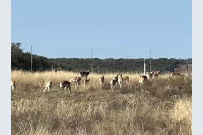 Lot 186 Blackbuck Ridge Drive, Lampasas, TX 76550 - Photo 22