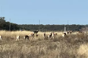 Lot 186 Blackbuck Ridge Dr, Lampasas, TX 76550 - Photo 22
