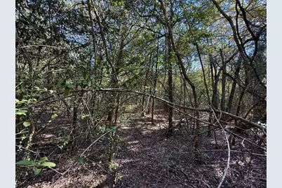 Tbd Lots 1232 & 1233 Hanauma Drive, Bastrop, TX 78602 - Photo 10