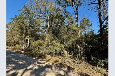Tbd Lots 1232 & 1233 Hanauma Drive, Bastrop, TX 78602 - Photo 6