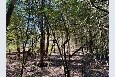 Tbd Lots 1232 & 1233 Hanauma Drive, Bastrop, TX 78602 - Photo 8