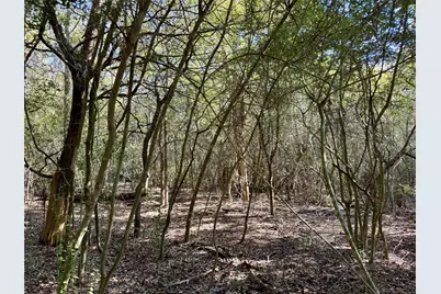 Tbd Lots 1232 & 1233 Hanauma Drive, Bastrop, TX 78602 - Photo 16