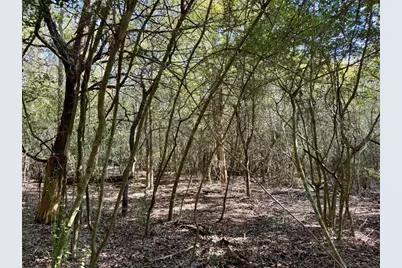 Tbd Lots 1232 & 1233 Hanauma Drive, Bastrop, TX 78602 - Photo 16