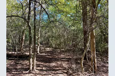 Tbd Lots 1232 & 1233 Hanauma Drive, Bastrop, TX 78602 - Photo 14