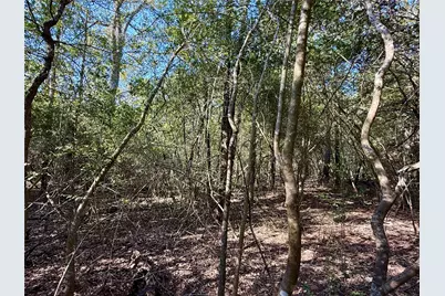 Tbd Lots 1232 & 1233 Hanauma Drive, Bastrop, TX 78602 - Photo 12