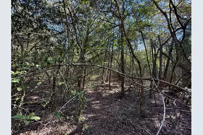 Tbd Lots 1232 & 1233 Hanauma Drive, Bastrop, TX 78602 - Photo 10
