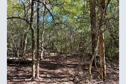 Tbd Lots 1232 & 1233 Hanauma Drive, Bastrop, TX 78602 - Photo 14