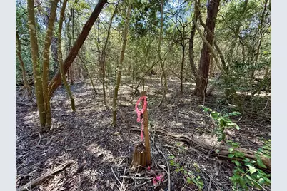 Tbd Lots 1232 & 1233 Hanauma Drive, Bastrop, TX 78602 - Photo 18