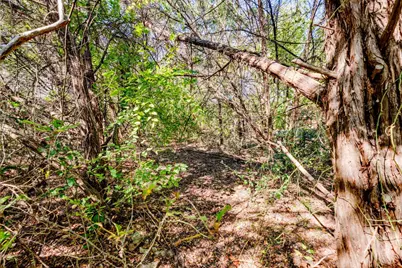 15104 S Flamingo Drive, Austin, TX 78734 - Photo 8
