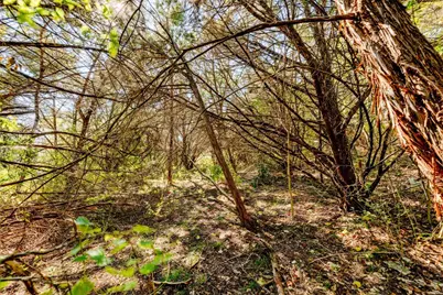 15104 S Flamingo Drive, Austin, TX 78734 - Photo 10