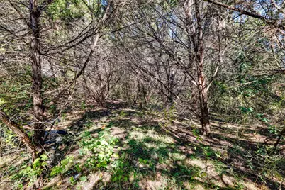 15104 S Flamingo Drive, Austin, TX 78734 - Photo 2