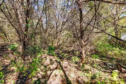15104 S Flamingo Drive, Austin, TX 78734 - Photo 4