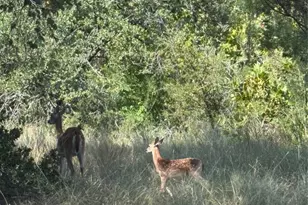 0000 Hi Stirrup/Moon, Horseshoe Bay, TX 78657 - Photo 1