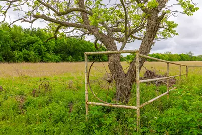 18.45 Acres Fm 1660, Taylor, TX 76574 - Photo 24