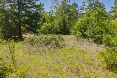 224 Pine Valley Drive, Paige, TX 78659 - Photo 22