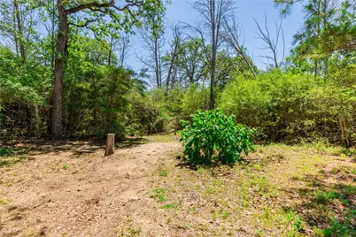 224 Pine Valley Drive, Paige, TX 78659 - Photo 30