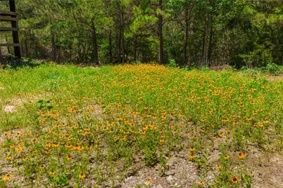 224 Pine Valley Drive, Paige, TX 78659 - Photo 24