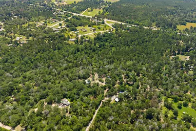 224 Pine Valley Drive, Paige, TX 78659 - Photo 32