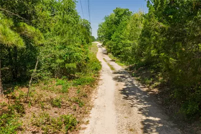 224 Pine Valley Drive, Paige, TX 78659 - Photo 26