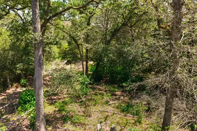 224 Pine Valley Drive, Paige, TX 78659 - Photo 28
